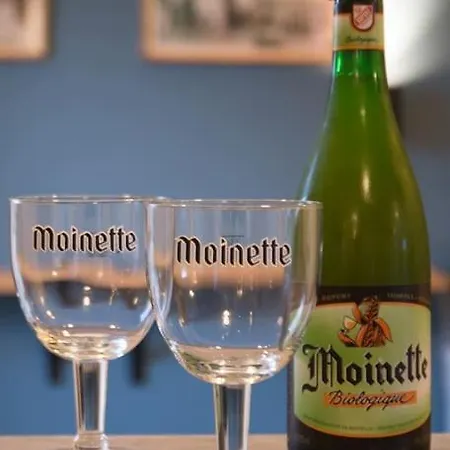 Les Jardins Du Quesnoy - 25min De Pairi Daiza Holiday home